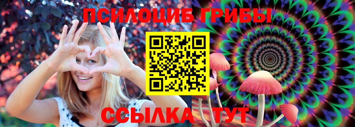 Псилоцибиновые грибы прущие грибы  Вход с VPN  Сертолово 